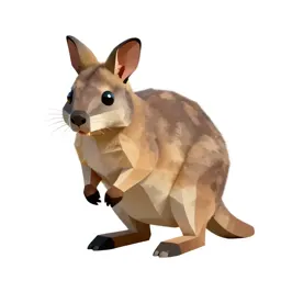 Hare wallaby