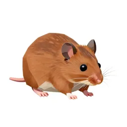 Harvest mouse