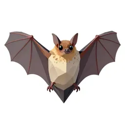 Horseshoe bat