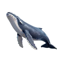 Humpback