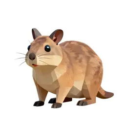 Jerboa kangaroo