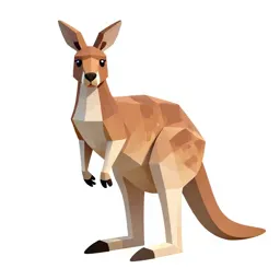 Kangaroo