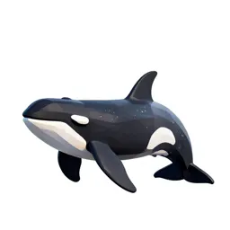Killer whale