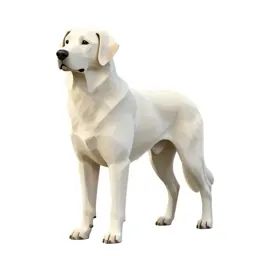 Kuvasz