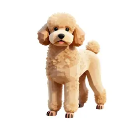 Large poodle