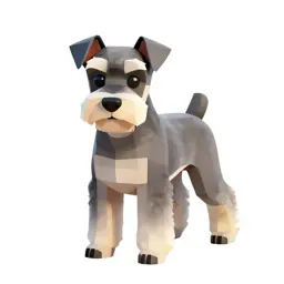 Miniature schnauzer