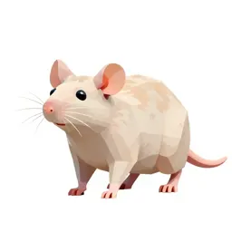 Nude mouse