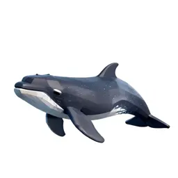 Pilot whale