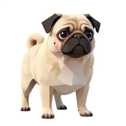 Pug