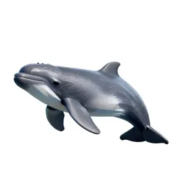 Pygmy sperm whale