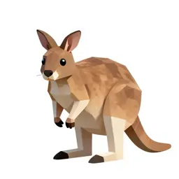 Rat kangaroo