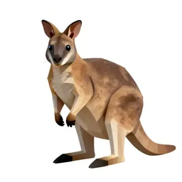 Rock wallaby