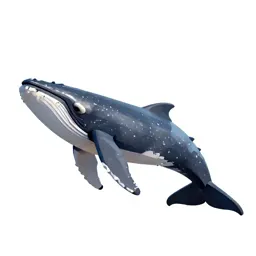 Rorqual
