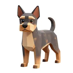 Schipperke