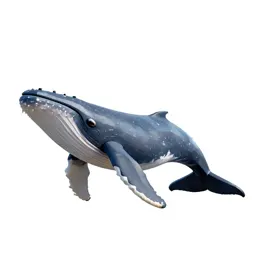 Sei whale