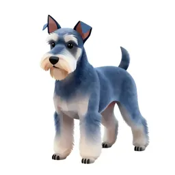 Silky terrier