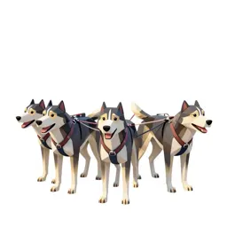 Sled dog