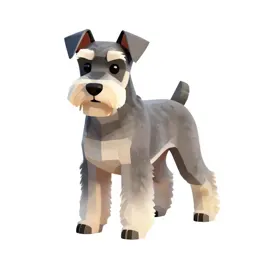 Standard schnauzer