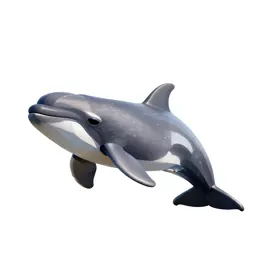 Toothed whale