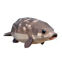 Vaquita
