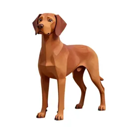 Vizsla