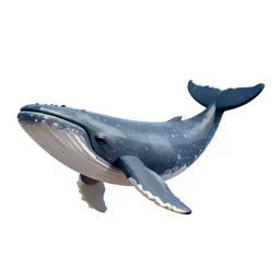 Whale