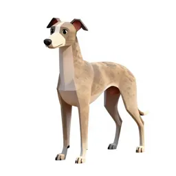 Whippet