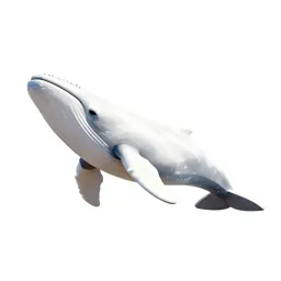 White whale