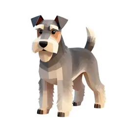 Wire-haired fox terrier