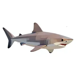 Basking shark