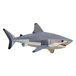 Bonito shark