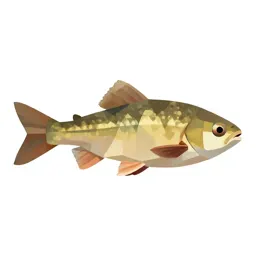 Bottom-feeder