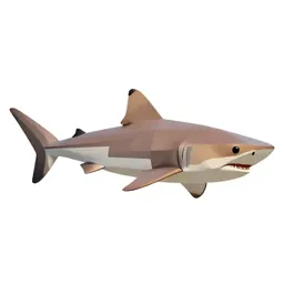 Bull shark