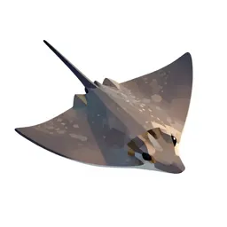 Butterfly ray