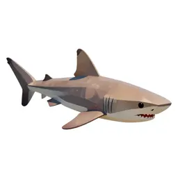 Carpet shark