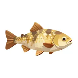 Cartilaginous fish
