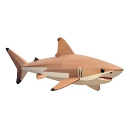 Cat shark