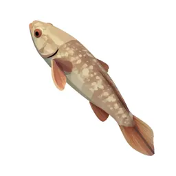 Chimaera