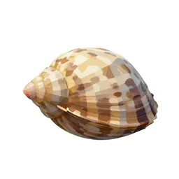 Clam
