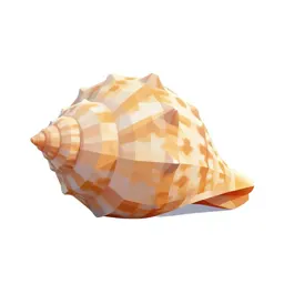 Conch