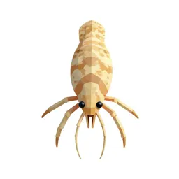 Copepod