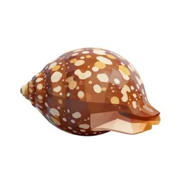 Cowrie