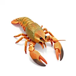 Crayfish