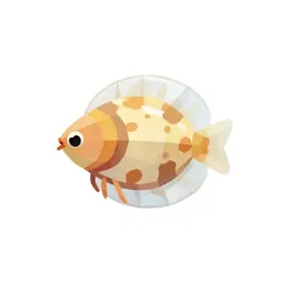 Daphnia