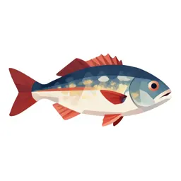 Flagfish