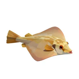 Guitarfish