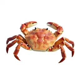 Hard-shell crab