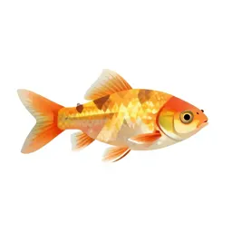 Killifish