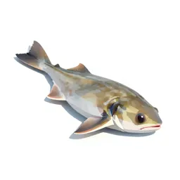 Little skate