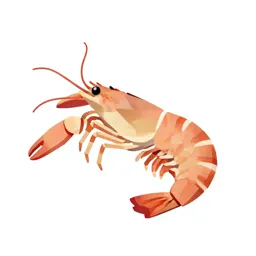 Long-clawed prawn